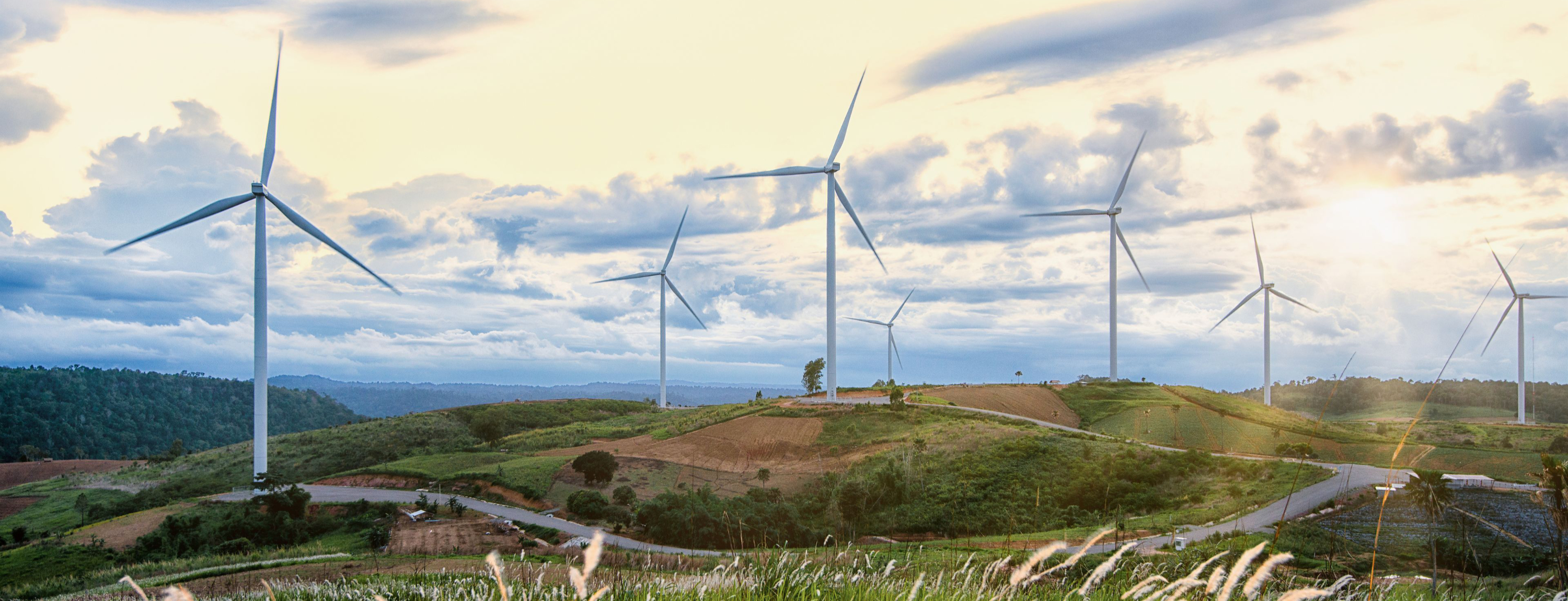 Planeta regenerativo