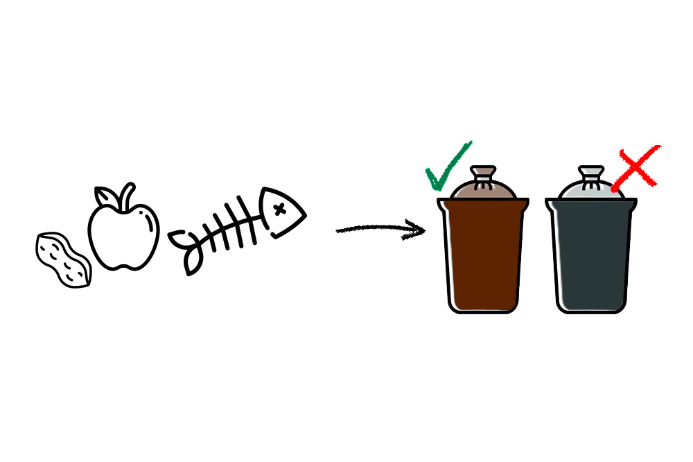 The right way to recycle: Light bulbs and halogen bulbs are not recycled