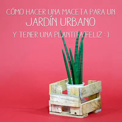 Pattex lanza la campaña “Atrévete a hacerlo”