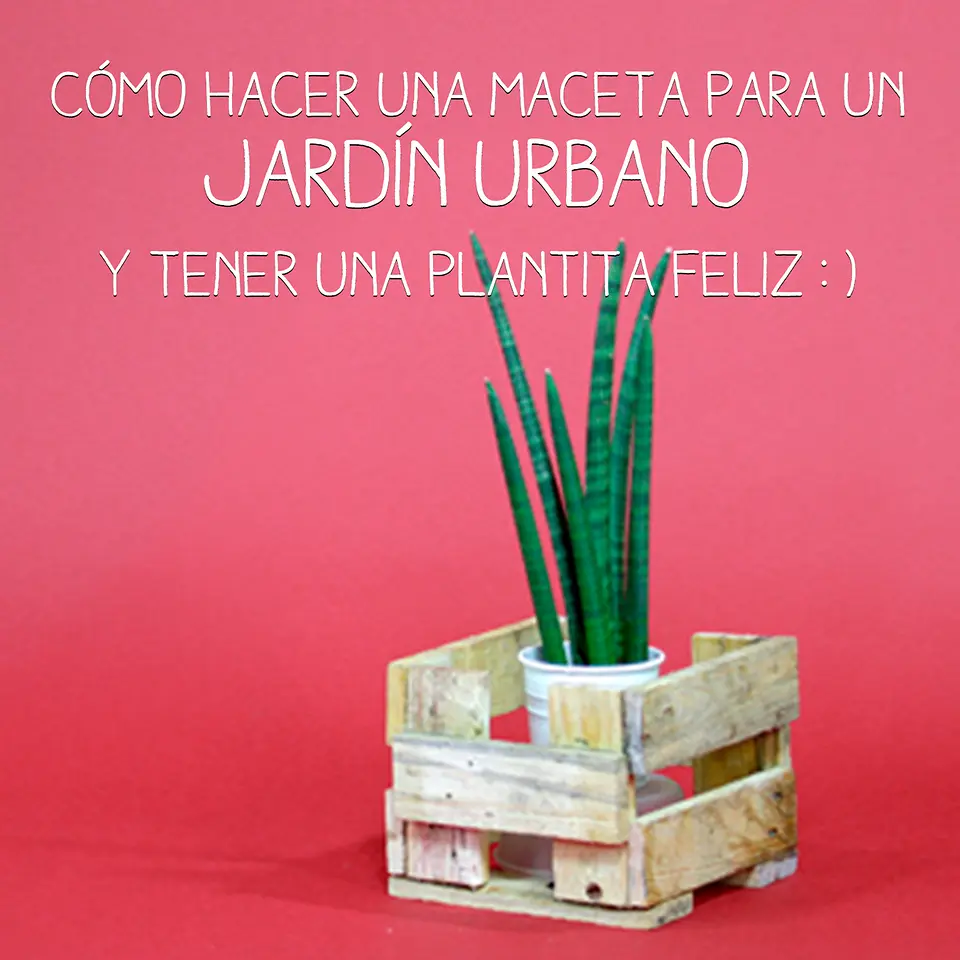 Pattex lanza la campaña “Atrévete a hacerlo”