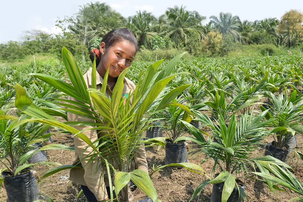 Eine Palmöl-Kleinbäuerin auf einer Palmöl-Plantage