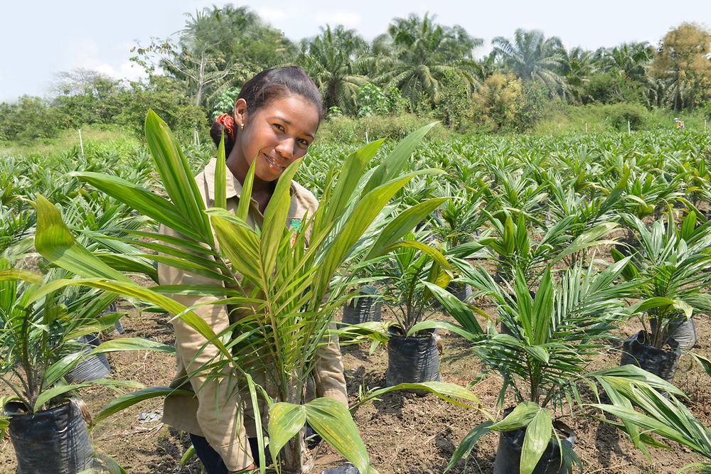 Eine Palmöl-Kleinbäuerin auf einer Palmöl-Plantage