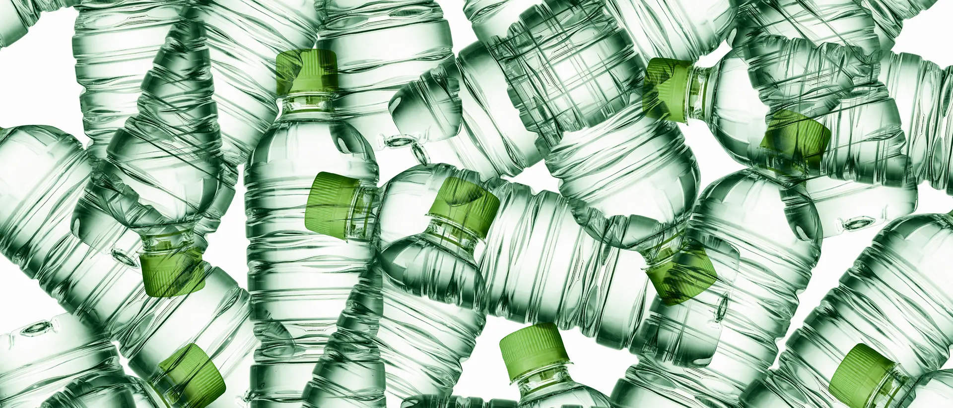 botellas plasticos