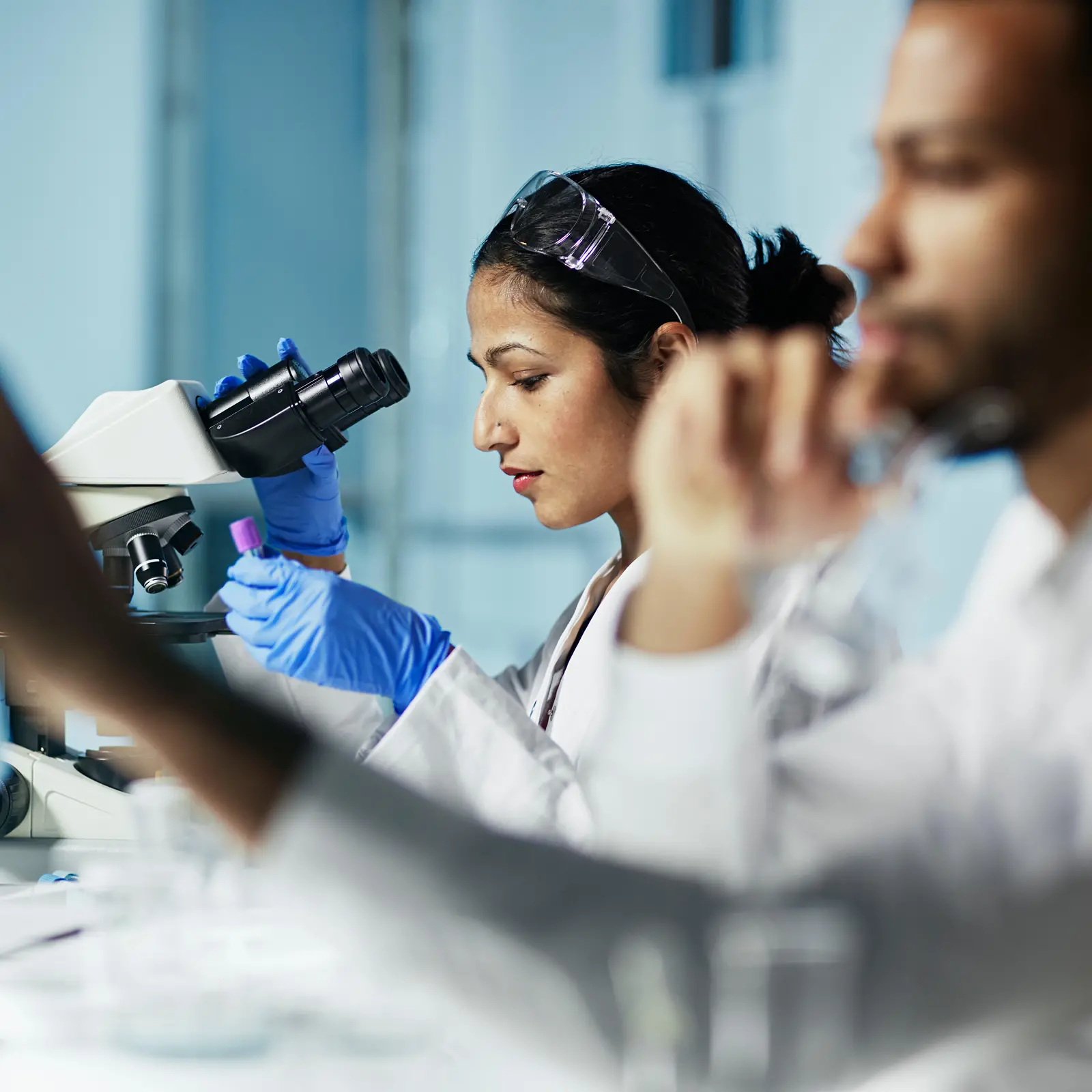 Áreas de investigación de Consumer Brands