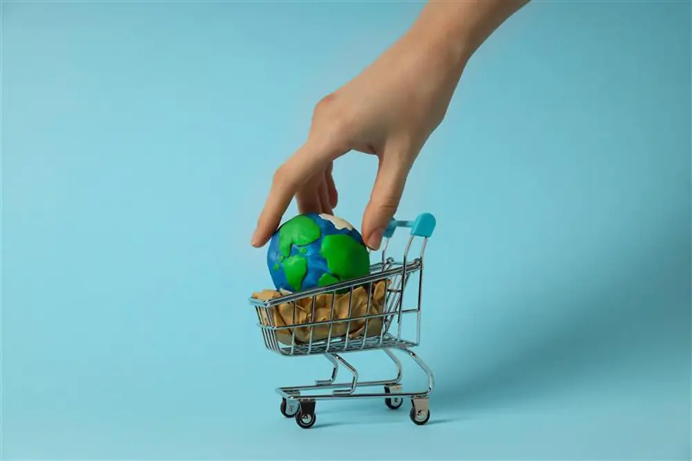 E-commerce & Sostenibilidad: Ejemplos para conseguirlo