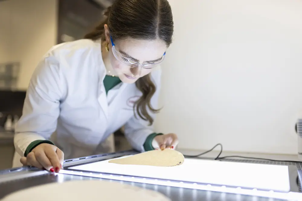 Una investigadora en laboratorio examina una muestra de envase sobre una mesa iluminada, representando el trabajo de Henkel en soluciones adhesivas sostenibles y reciclabilidad de envases de fibra.