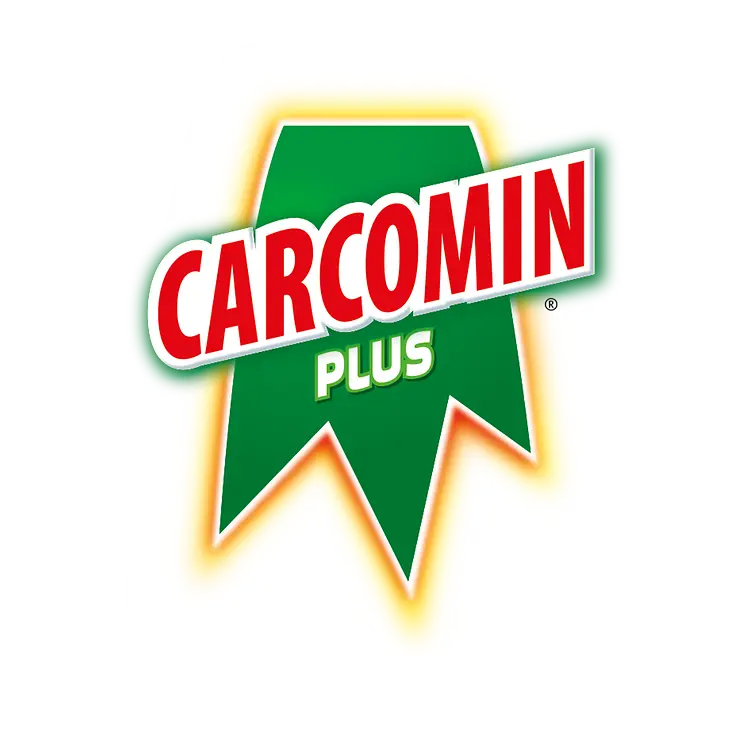 logo-carcomin