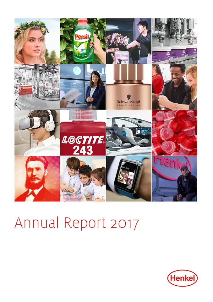 Reporte Anual 2017 (Capa)