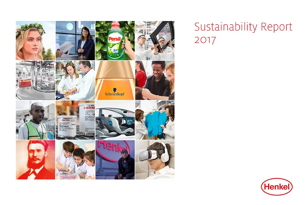 Informe de Sostenibilidad 2017 (Capa)