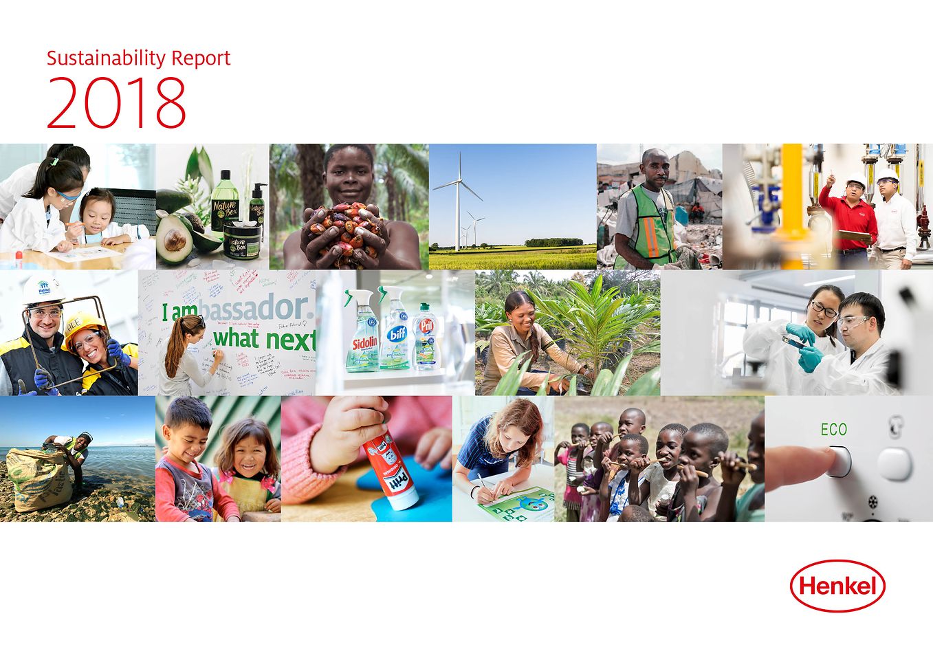 Informe de Sostenibilidad 2018 (Capa)
